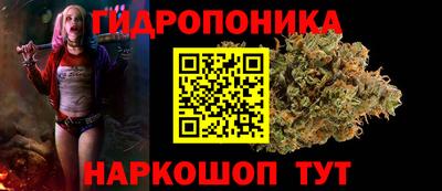 трава Гусь-Хрустальный