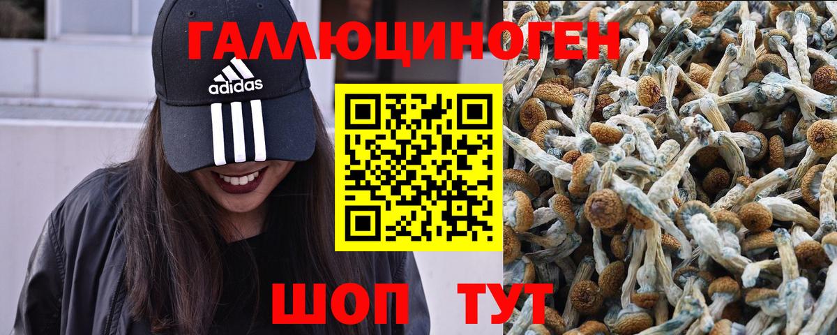 Псилоцибиновые грибы мицелий  Галлюциногенные грибы GOLDEN TEACHER  Вход с VPN  Нижний Тагил 